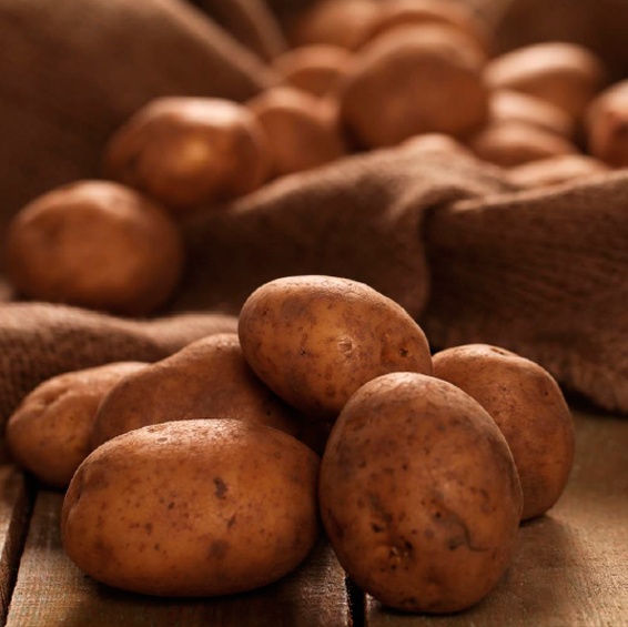 Patate coltivate in Bolivia con Kyminasi Plants più produzione del 32 percento