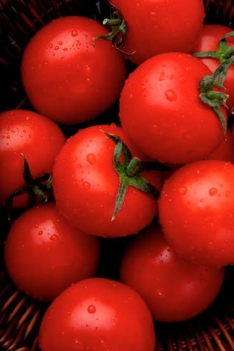 2021 pomodori pomodori coltivati con Kyminasi Plants
