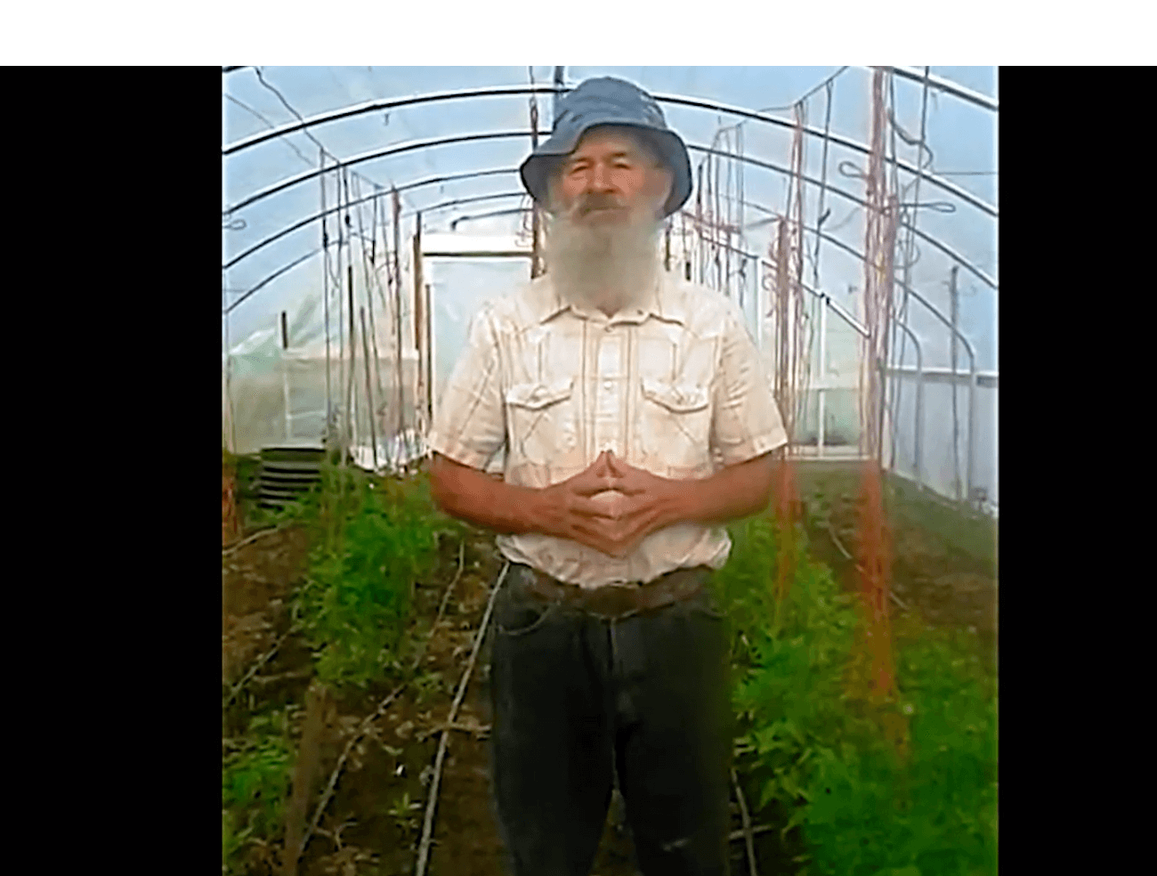 Art Heinmann agricoltore testimonianze kyminasi plants