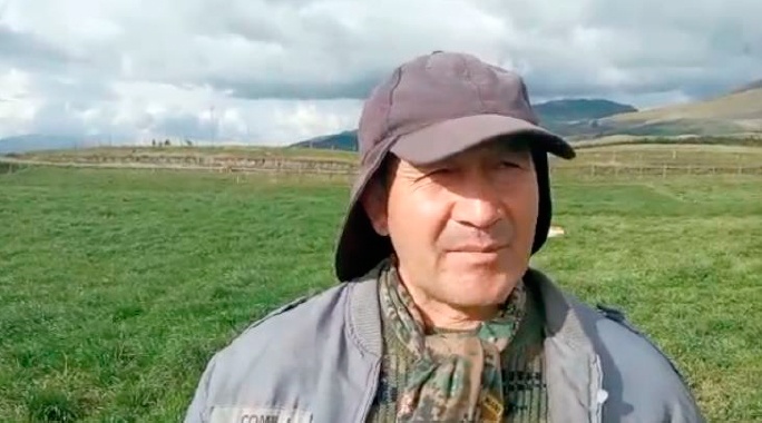 latte ecuador Il foraggio coltivato con Kyminasi Plants fa produrre alle mucche più latte e di miglior qualità