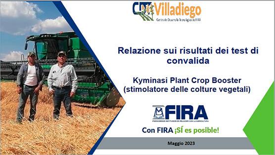STUDIO SCIENTIFICO SU KYMINASI PLANTS - FIRA MESSICO